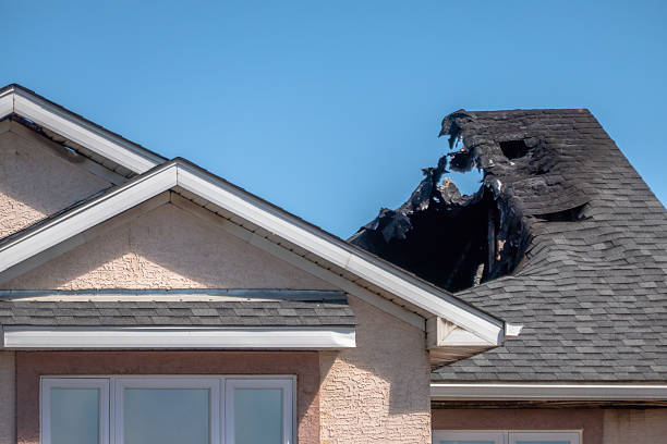 Licensed Fire Damage Assessment service in Arlington, MN - Fire Damage Biloxi